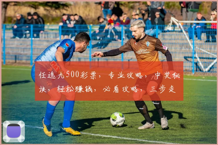 任选九500彩票，专业攻略，中奖秘诀，轻松赚钱，必看攻略，三步走