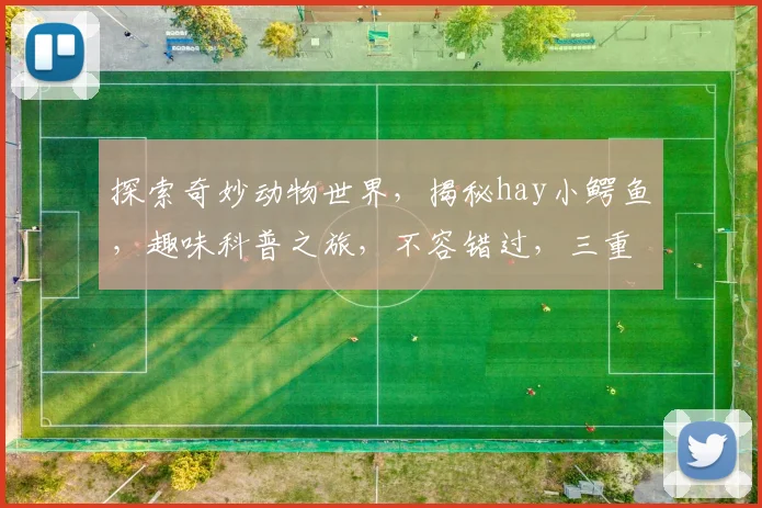 探索奇妙动物世界，揭秘hay小鳄鱼，趣味科普之旅，不容错过，三重惊喜等着你