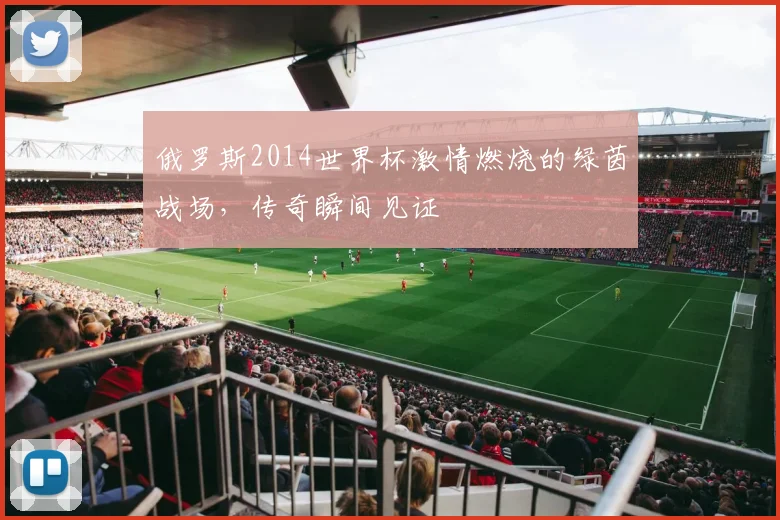 俄罗斯2014世界杯激情燃烧的绿茵战场，传奇瞬间见证