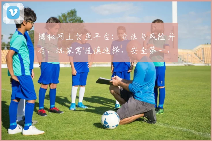 揭秘网上打鱼平台：合法与风险并存，玩家需谨慎选择，安全第一，享受游戏乐趣